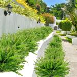 12 stuks kunstvaren, , varenplanten, decoratieve planten, varen, zoals echt groen, voor tafeldecoratie, tuin, vaas, decoratie