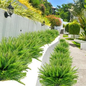 12 stuks kunstvaren, , varenplanten, decoratieve planten, varen, zoals echt groen, voor tafeldecoratie, tuin, vaas, decoratie