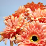 12 STKS Kunstmatige Gerbera Bloem Enkele Stam Bloei Boeket Plastic Zijde Nep Decoratieve Flora Outdoor Indoor Thuis Tuin Kantoor Hotel Bruiloft Party Oranje