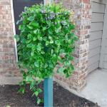 2 Stuks Kunstmatige Hangende Wijnstokken Planten Faux, Muur Hangende Planten Groen, nep Hangende klimop, voor Huis Huis Slaapkamer Tuin Binnen Buiten Hangende Mand Bruiloft Decor