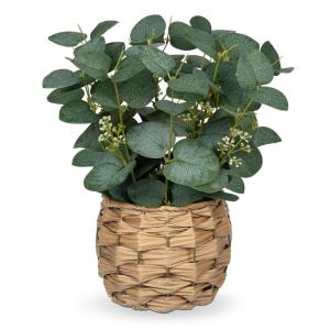Kunstplant eucalyptus decoratie, kunstmatige eucalyptus in pot, decoratieve plant, kamerplanten