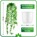Kunstmatige eucalyptus (60 cm) in witte keramische pot: kunstmatige hangplanten | kunstmatige planten als echt | hangende | kunstplant hangend in pot | kunstplant kunstplant
