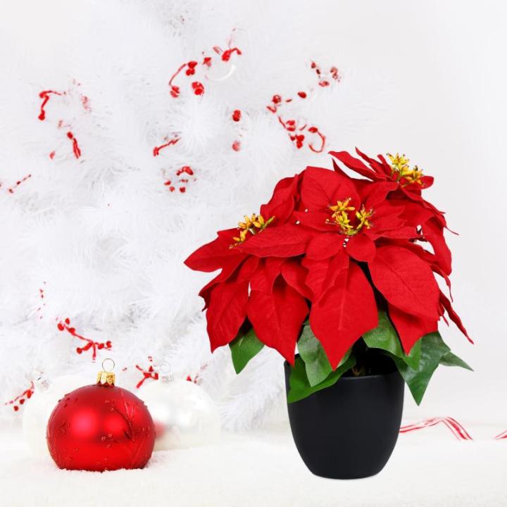 Poinsettia Kunstkerstster in zwarte pot, 30 cm, kunstbloem poinsettia in natuurgetrouwe replica, kerstbloem, decoratieve plant, zijdebloem, kunstplant, winterbloem met fluweelachti