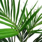 Großer künstlicher Baum, 130 cm, Kentia-Palme