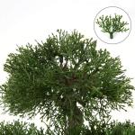 Kunstbonsai Natuurgetrouwe kunstplant, kunstboom, bonsai, ceder, grenen, podocarpus, plastic plant, kunstplant met keramische pot in zwart, voor badkamerdecoratie, desktop, kantoor