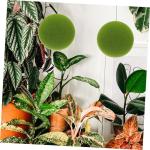 2St Simulierter Moosball imitierte grüne Moossteine Dekor fensterdeko selber Machen künstlich kunstpflanze kunstplflanze Requisiten aus Mooskugeln DIY blumenkunst versorgung Scha