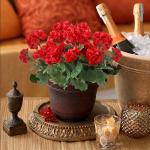 voor buiten, uv-bestendige , decoratie, struiken, planten, boeket, voor tuin, veranda, balkon, binnenplaats, raam, box, decoreren (geel, paars,