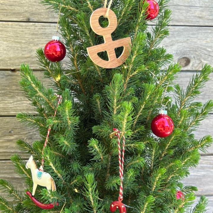 Dwergsparren Fridolin met plantenbak van zeegras, 80-100 cm grote winterharde mini-kerstboom, echte suikerpit voor binnen en buiten, plant voor pot en tuin
