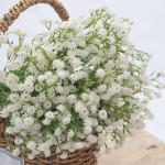 Kunstmatige sluierkruid, 12 witte boeketten kunstgypsophila boeketten bloemenarrangement decoratie