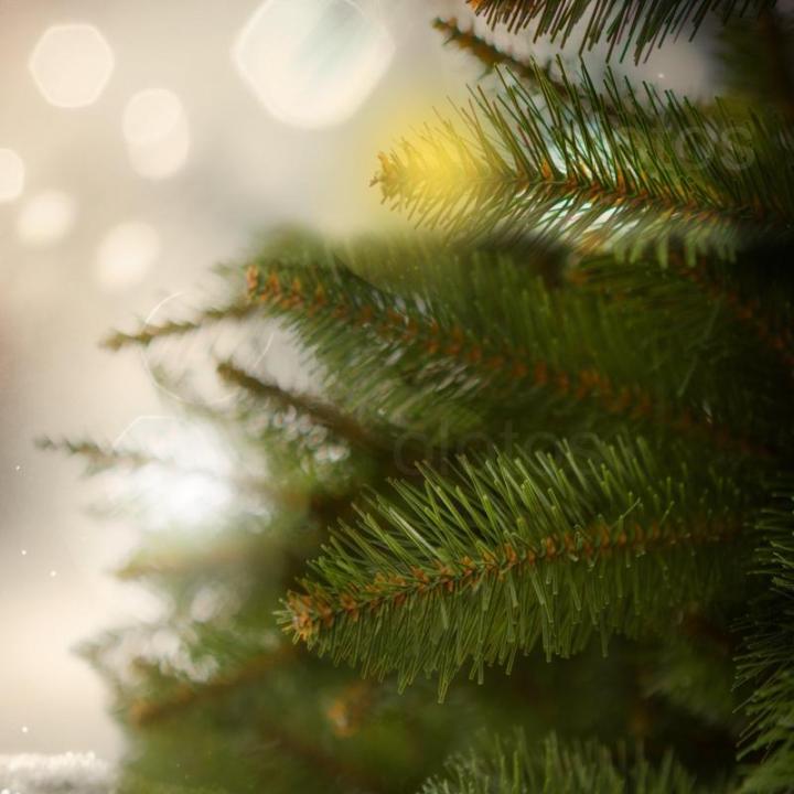Naturgetreuer Weihnachtsbaum mit Qualität und Langlebigkeit I 180 cm I Made in EU I Künstlich mit Metallständer I Ideal für Festliche Freude Jahr für Jahr (Nordische Fichte sc
