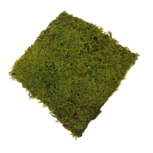 Kunstrasen kunstgras kunstgräser Gras Teppich rasenteppiche künstliche gräser Rasen für Sandtisch grüner Rasen gefälschter Rasen gefälschte Grasmatte Aquarienrasen Perlenbau
