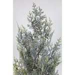 Ceder/conifere in sneeuwlook in pot, GA kunstplant kunstboom, decoratieve boom (80 x 34 cm)