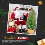 - Echte kerstboom - kerstboom - kerstboom in rode pot - mini-kerstboom - dennengeur - kleine kerstboom (zonder sneeuw, 90-100 cm)