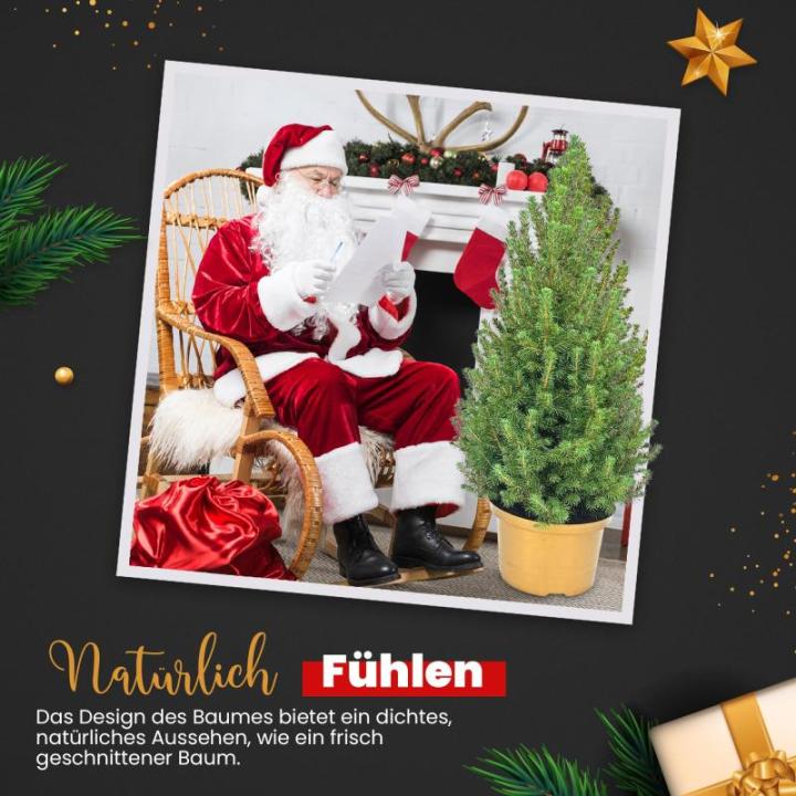 - Echte kerstboom - kerstboom - kerstboom in rode pot - mini-kerstboom - dennengeur - kleine kerstboom (zonder sneeuw, 90-100 cm)