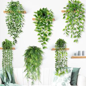 , 4 potten, hangplanten, binnen, eucalyptus, groen, decoratie voor thuis, badkamer, boerderij, kamer, rek