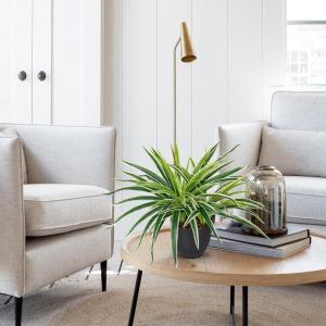 binnen in potten 33 cm nep spinplant decoratieve nep potplanten faux Chlorophytum Comosum kamerplant realistische kamerplant voor thuis badkamer keuken decoratie