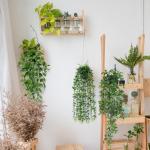 3 stuks kunsthangplanten, eucalyptus, bladeren met potten, 63 cm lang, onderhoudsvrije , wijnstok voor tuin, binnen en buiten (eucalyptus)