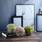 Kunstmatige grasplanten in pot, kunstplant, vetplanten, bureau-vensterbank, decoratieve badkamer, bonsai, kamerdecoratie, cadeau voor bruiloft, verjaardag, Kerstmis, set van 3
