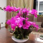 Kunstblumen Künstliche Pflanzen, Orchideen-Blumen-Arrangement für Hotel-Heimdekoration, PU-Kunstpflanzen, 7 Zweige, Phalaenopsis-Blumen für jeden Anlass