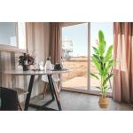 Strelitzie MN-KP-2214 Paradijsvogelbloem, kunstplant, kunstplant, decoratie, in zwarte pot, zeer realistisch, groen, 180 cm