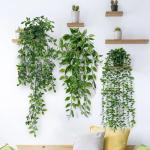 3 stuks kunsthangplanten, eucalyptus, bladeren met potten, 63 cm lang, onderhoudsvrije , wijnstok voor tuin, binnen en buiten (eucalyptus)