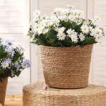 Faux Zijde Madeliefje Wilde Bloemen Groen Heesters Planten, 24 Witte Daisy Nep Bloemen voor Thuis Tafel Veranda Raam Keuken in Vaas Mand of Bloempot