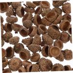 300 STK natürliche Eichel weihnachtsdeko Christmas Decorations weihnacjtsdeko Weihnachten Dekoration Fallen Vase Eichelfüller trockene Eichelverzierung Eichelschale Eichel Handwe