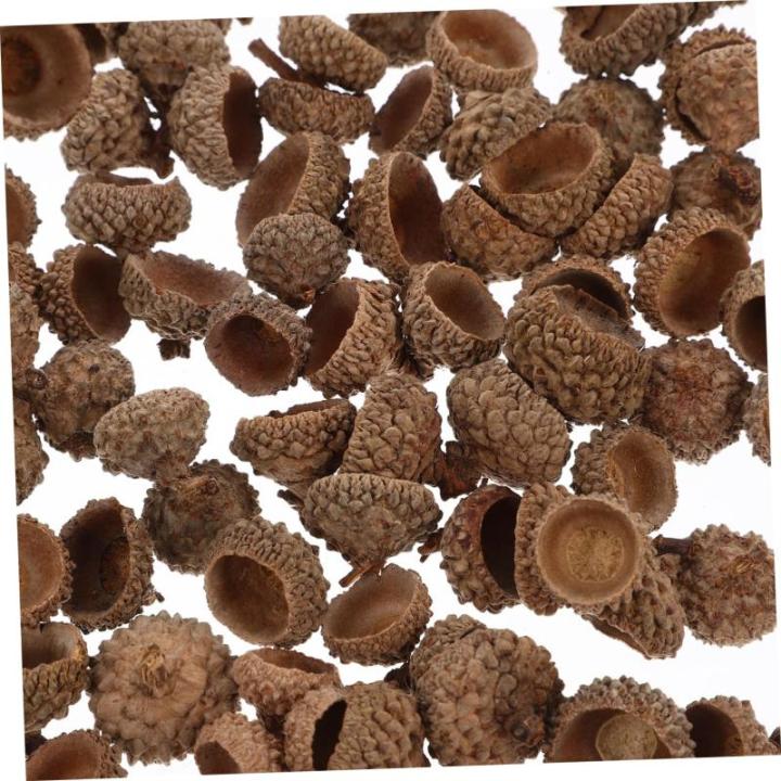 300 STK natürliche Eichel weihnachtsdeko Christmas Decorations weihnacjtsdeko Weihnachten Dekoration Fallen Vase Eichelfüller trockene Eichelverzierung Eichelschale Eichel Handwe