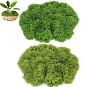 Mos in 2 verschillende kleuren, 250 g voor mosfoto's, 200 g groen en 50 g donkergroen, mosafbeelding, kunstmos, kunstmos, mos om te knutselen, mosdecoratie, kunstmos, mos, mos, con