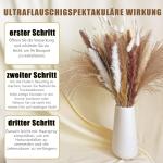 Gedroogde pampasdecoratie, gedroogde bloemen, natuurlijk, 60 stuks, doe-het-zelf, gedroogde bloemen, boeket, ideaal voor boho, woonkamer, bruiloft, slaapkamer en vazen (LZGSGO-0104