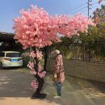 Kunstmatige Kersenbloesem Bomen Kunstmatige Kersenbloesem Bloem Bomen, Roze Zijde Kersenbloesem Bomen voor Bruiloft Thuis Japanse Kawaii Kamer Decor Roze (Size : 2x2m/6.6x6.6ft)