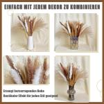 Gedroogde pampasdecoratie, gedroogde bloemen, natuurlijk, 60 stuks, doe-het-zelf, gedroogde bloemen, boeket, ideaal voor boho, woonkamer, bruiloft, slaapkamer en vazen (LZGSGO-0104