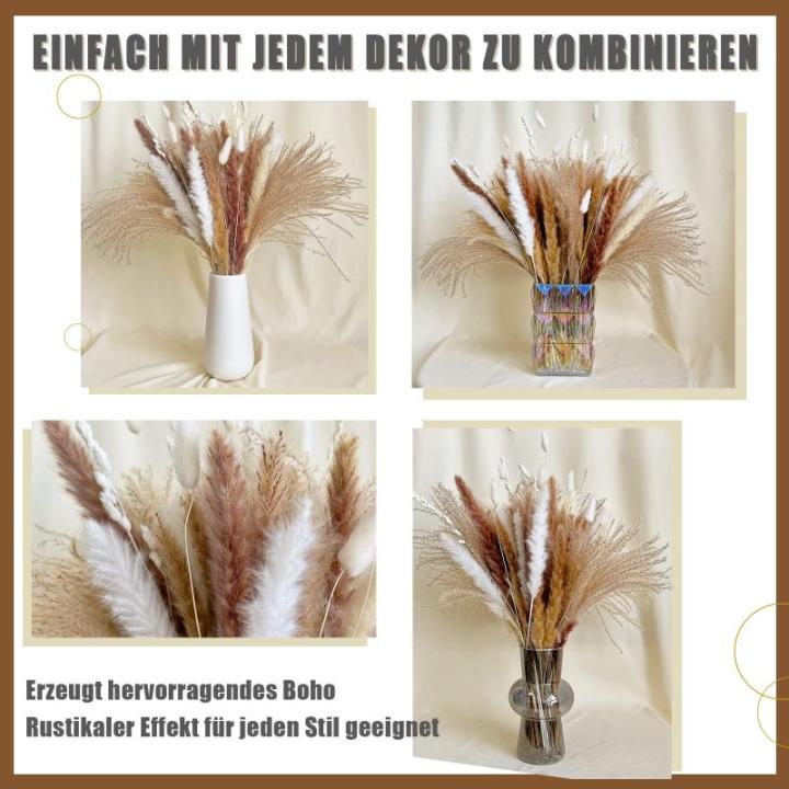 Gedroogde pampasdecoratie, gedroogde bloemen, natuurlijk, 60 stuks, doe-het-zelf, gedroogde bloemen, boeket, ideaal voor boho, woonkamer, bruiloft, slaapkamer en vazen (LZGSGO-0104