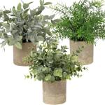 in pot, , klein als echt, 3 stuks, bureauplanten, mini-voor tafeldecoratie, huis, balkon, kantoor, decoratie #3