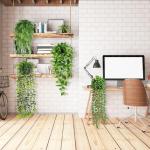 , 4 potten, hangplanten, binnen, eucalyptus, groen, decoratie voor thuis, badkamer, boerderij, kamer, rek
