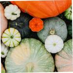 300 stuks pompoen decoratie Halloween decoratie-accessoires Halloween pompoen decoratie desktop pompoen decoratie kleine realistische pompoen kunsthandwerk kleine pompoen PU-lijm