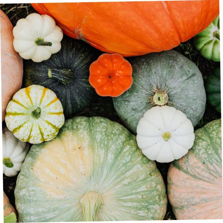 300 stuks pompoen decoratie Halloween decoratie-accessoires Halloween pompoen decoratie desktop pompoen decoratie kleine realistische pompoen kunsthandwerk kleine pompoen PU-lijm