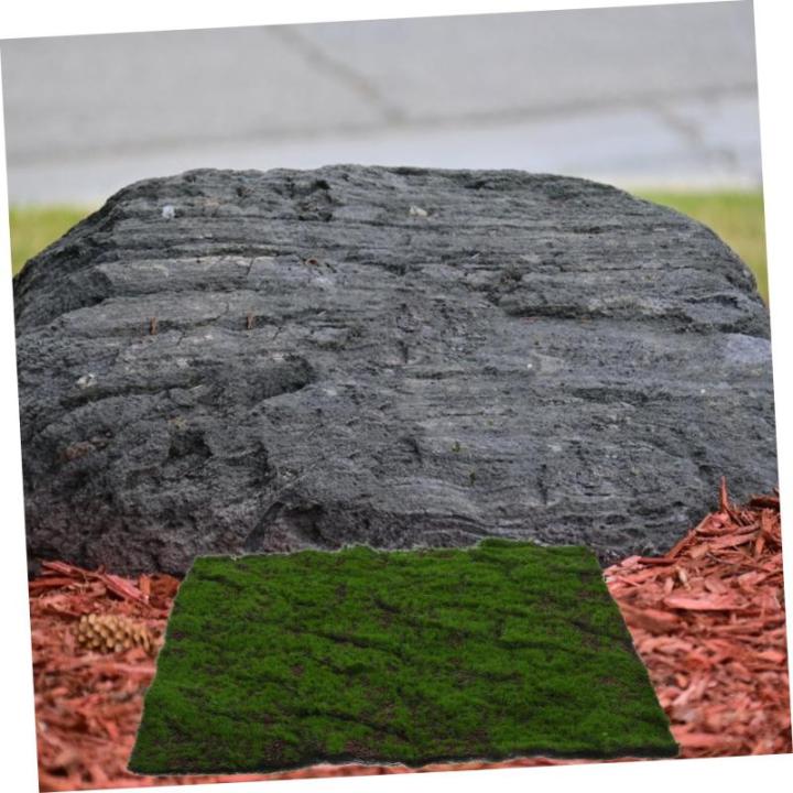 Simulierter Moosrasen Graswand Bonsai Dekoration kunstgras deko DIY-Dekoration Hintergrund Dekoration künstliche grüne Wand Kunstgrüne Wand Blumen Wandpaneel Perlenbaumwolle