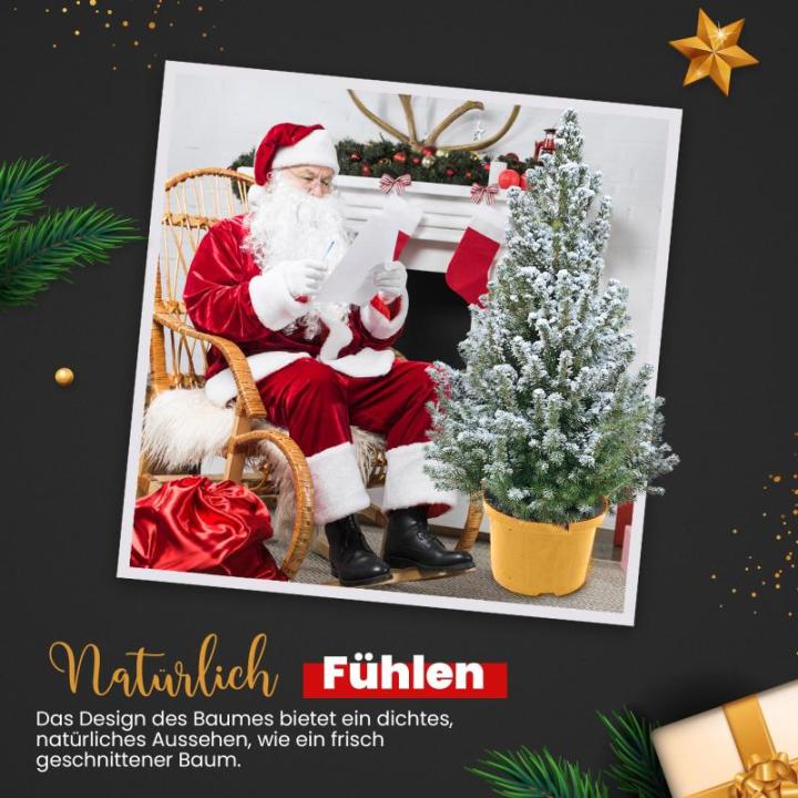- Echte kerstboom - kerstboom met sneeuw - kerstboom in gouden pot - mini kerstboom - witte kerstboom - 90-100 cm