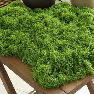 Kunststoff-Gartengras – synthetischer Rasenbelag, luxuriöse Wolle wie künstliches Moos | Künstliche Moos-Modellierungsprojekte, Bastelarbeiten, Graskränze, Tischdecken, Matte