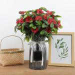 Blumenstrauss Künstlich Rot UV Beständige Blumen Künstliche Kunstblume für Zuhause Hochzeit Garten Balkon Tischdekoration 30 Bündel Rot 1513