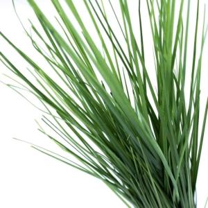 Kunst decoratief gras bundel groen - H 90 cm - kunstmatige decoratie stagras - kunstplant kamerplant decoratie grassen gras-bundel siergras