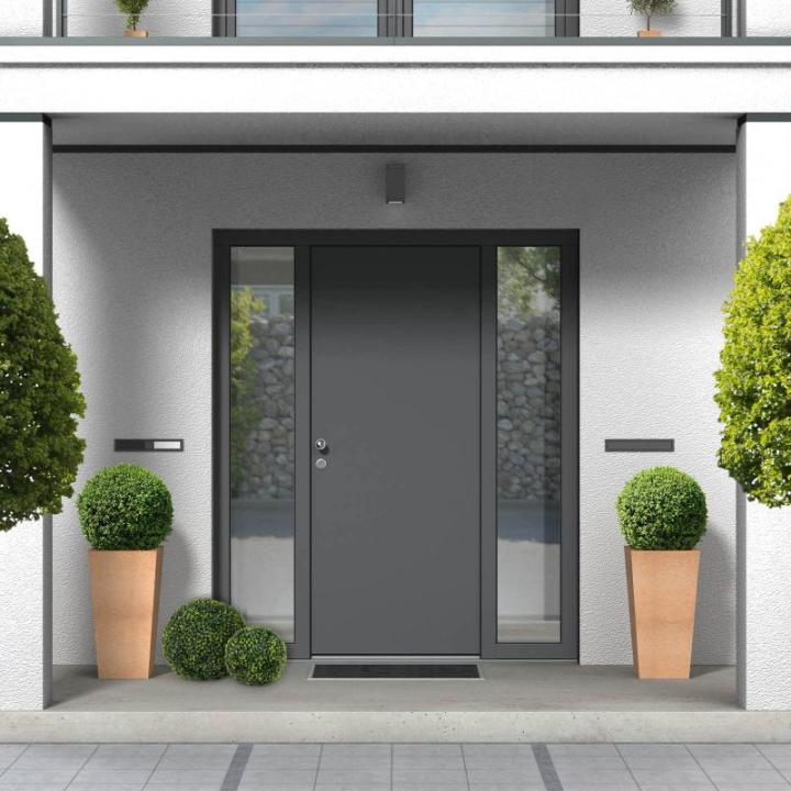 Plantenwand, , wandplanten, 50 x 50 cm, decoratie voor muur/balkon/tuin, buxusbal Ø 38 cm