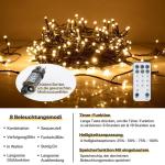 Lichtketting in plug-stijl, 40 m