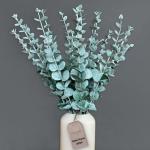 Eucalyptus decoratie 20 stuks, eucalyptus, eucalyptus, eucalyptus, eucalyptusplant, kunstmatige eucalyptus, eucalyptus-takken