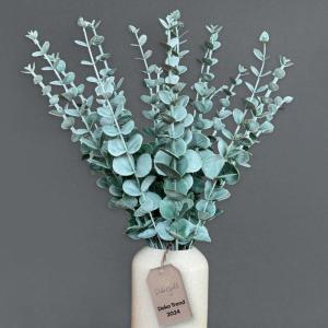 Eucalyptus decoratie 20 stuks, eucalyptus, eucalyptus, eucalyptus, eucalyptusplant, kunstmatige eucalyptus, eucalyptus-takken