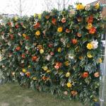 Simulationsblumenwand-Hintergrundwand, Veranstaltungsfeier Im Freien, Hochzeitsdekoration, Dekorationswand, Für Fotohintergrund, Home-Party, Hochzeitshintergrund(1m*1m)