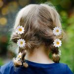 100 stuks gerbera madeliefjes, , kleine madeliefjes, , stoffen bloemen, ontworpen voor bloemendecoraties, doe-het-zelf (witte madeliefjes)