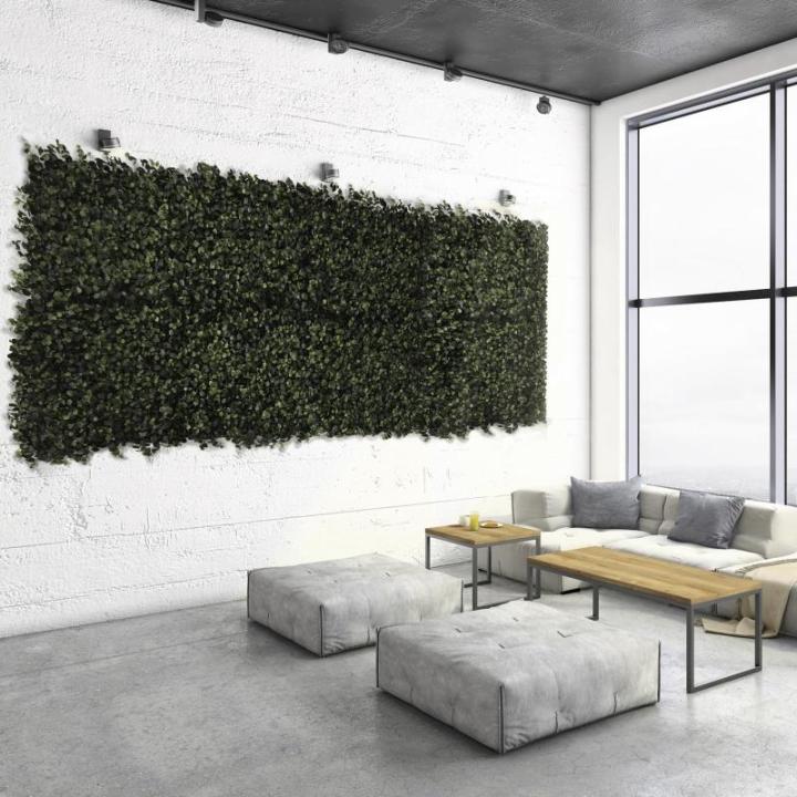 Plantenwand, , wandplanten, 50 x 50 cm, decoratie voor muur/balkon/tuin, eucalyptus, 50 x 50 cm