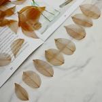 50 stuks kunstbladeren, decoratieve kunstbladeren, slinger, knutselen, droge bladeren, gedroogde bladeren, gebruikt voor doe-het-zelf handwerk, scrapbook, handwerk, kaarten maken (